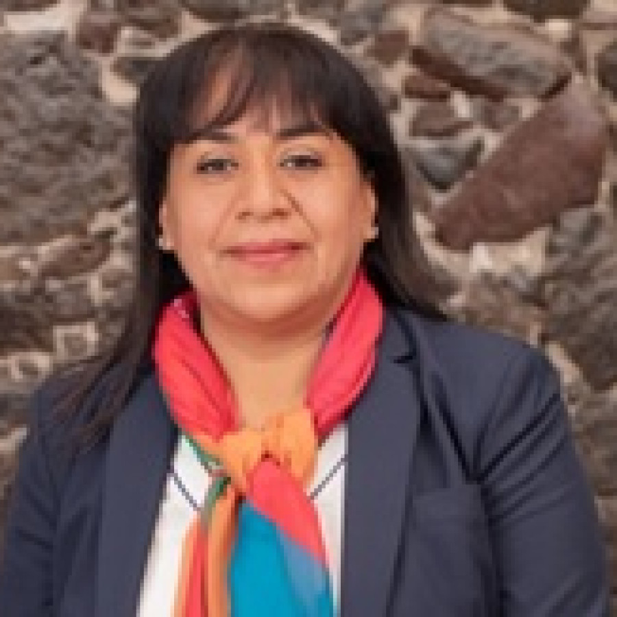 Irma Hernandez Arroyo